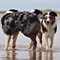 Sommerurlaub in D�nemark