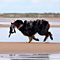 Sommerurlaub in D�nemark