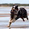 Sommerurlaub in D�nemark