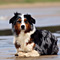 Sommerurlaub in D�nemark