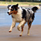 Sommerurlaub in D�nemark