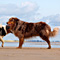Sommerurlaub in D�nemark