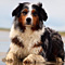 Sommerurlaub in D�nemark