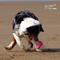 Sommerurlaub in D�nemark