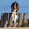 Sommerurlaub in D�nemark