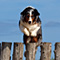 Sommerurlaub in D�nemark