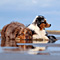 Sommerurlaub in D�nemark