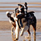 Sommerurlaub in D�nemark