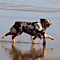 Sommerurlaub in D�nemark