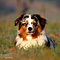 V�terchen Frost