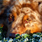 V�terchen Frost