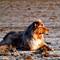V�terchen Frost