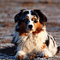 V�terchen Frost