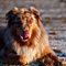 V�terchen Frost