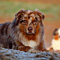 V�terchen Frost