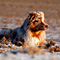 V�terchen Frost