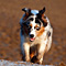 V�terchen Frost