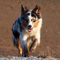 V�terchen Frost