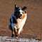 V�terchen Frost