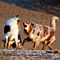 V�terchen Frost