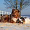 Schon Winter?