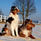 Schon Winter?